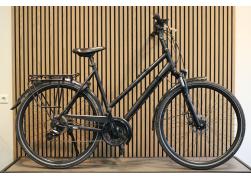 Pegasus Savona SL Disc